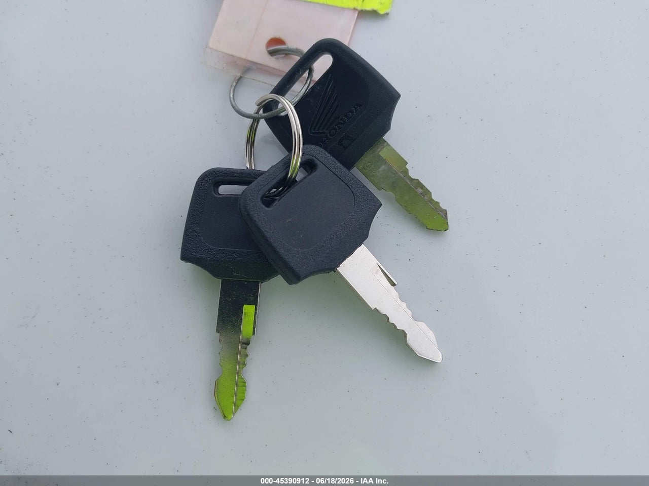 Image 11