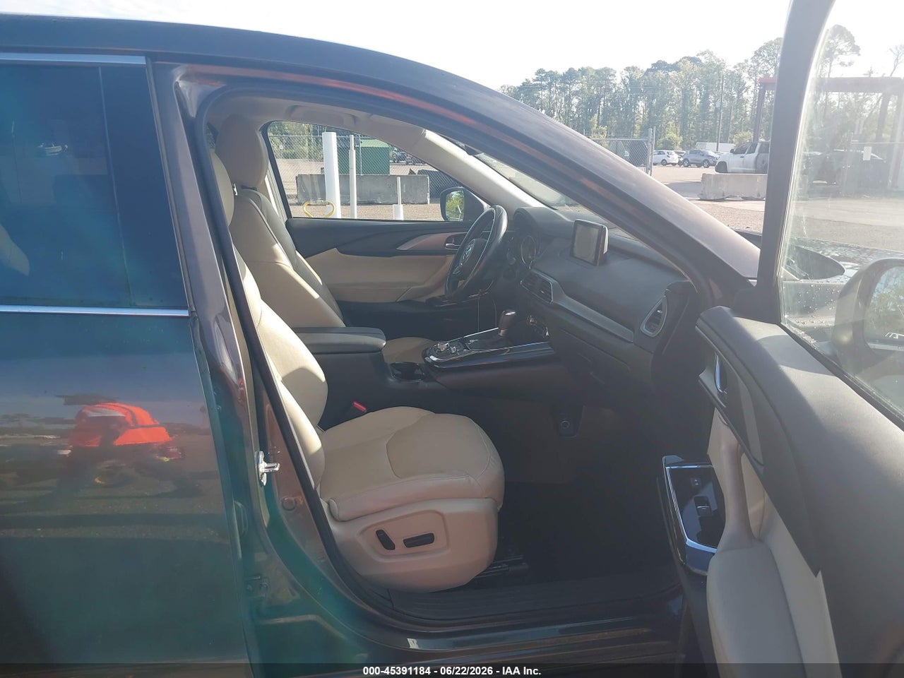 Image 5