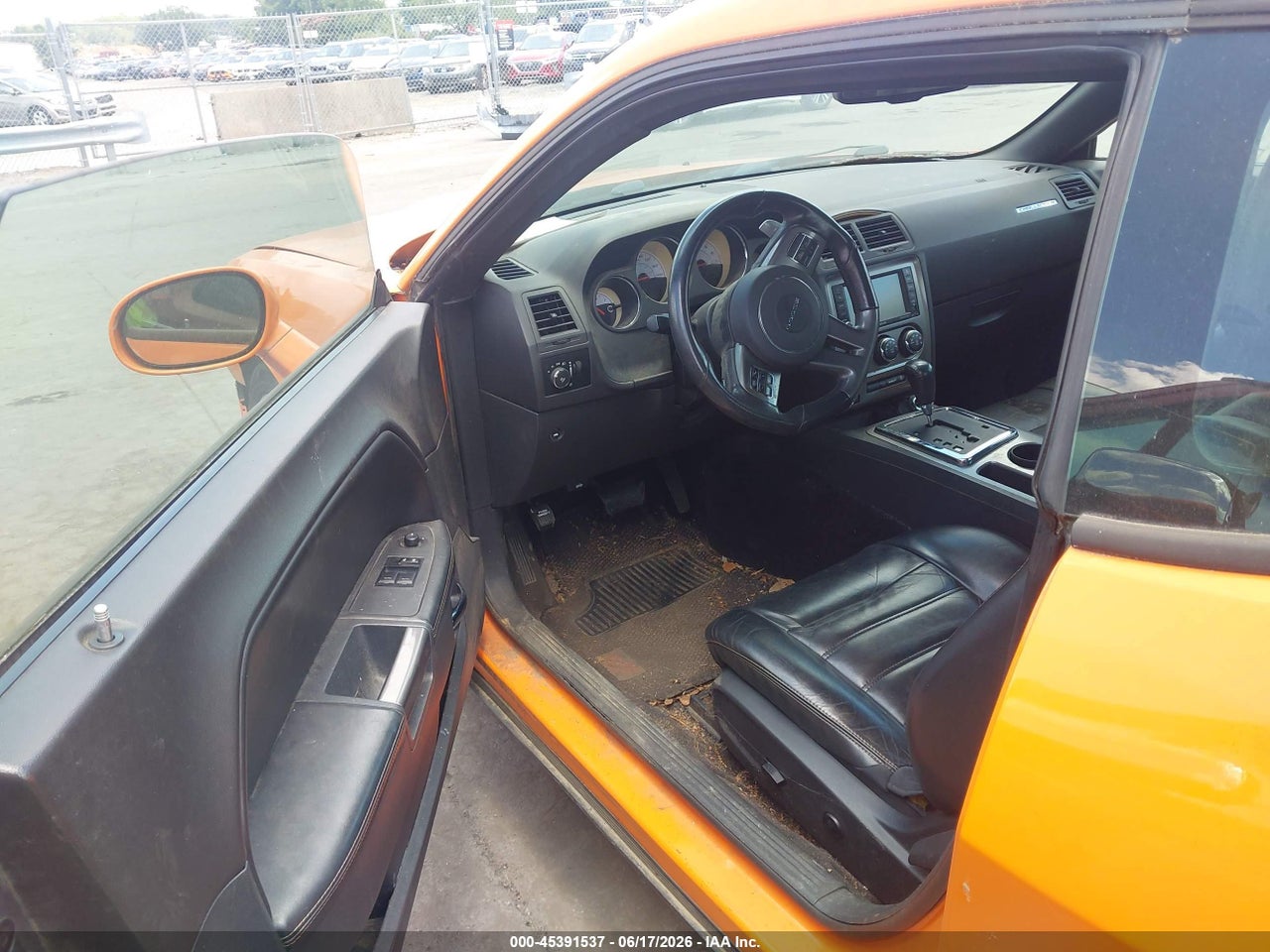 Image 5