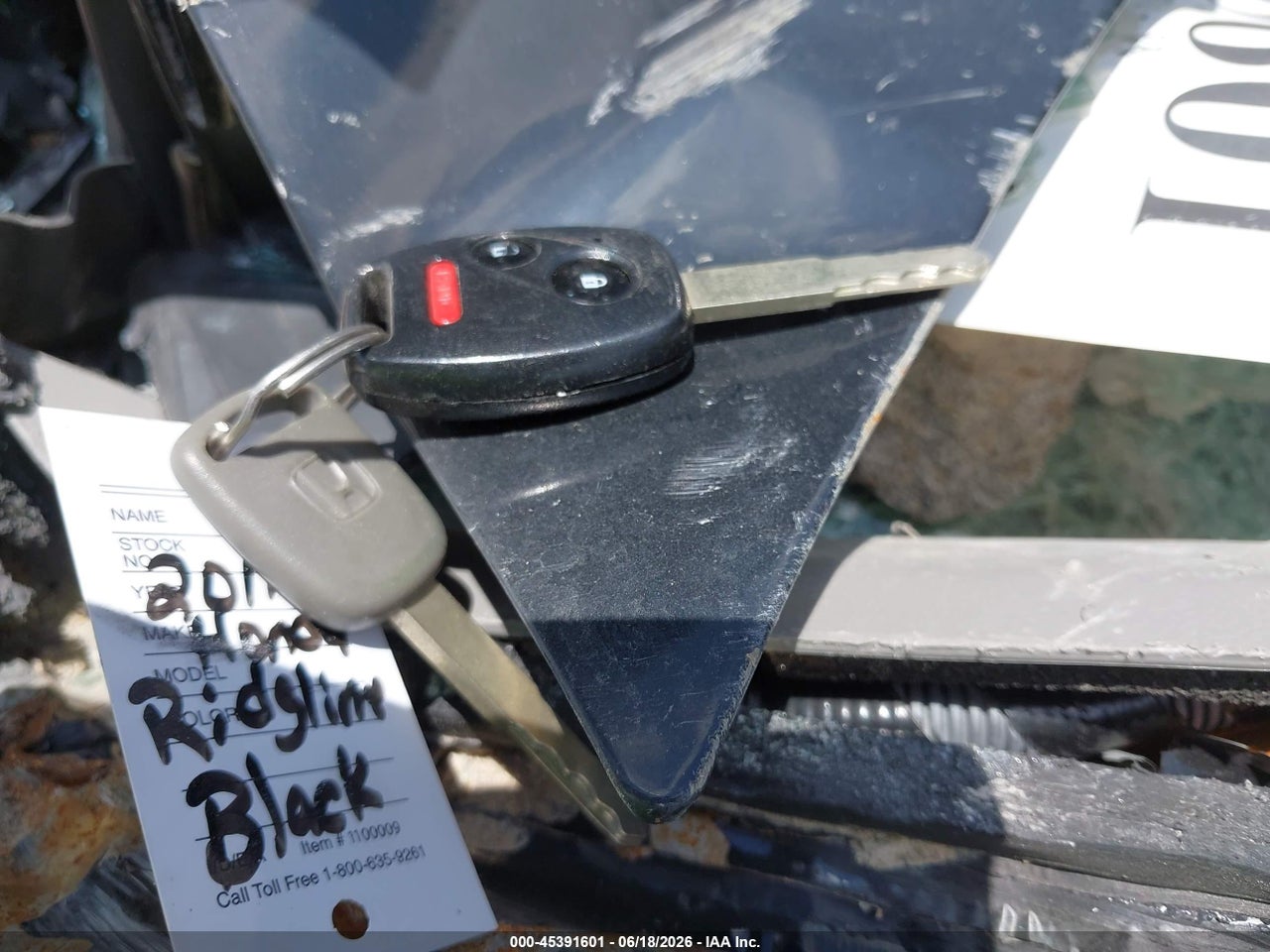 Image 11