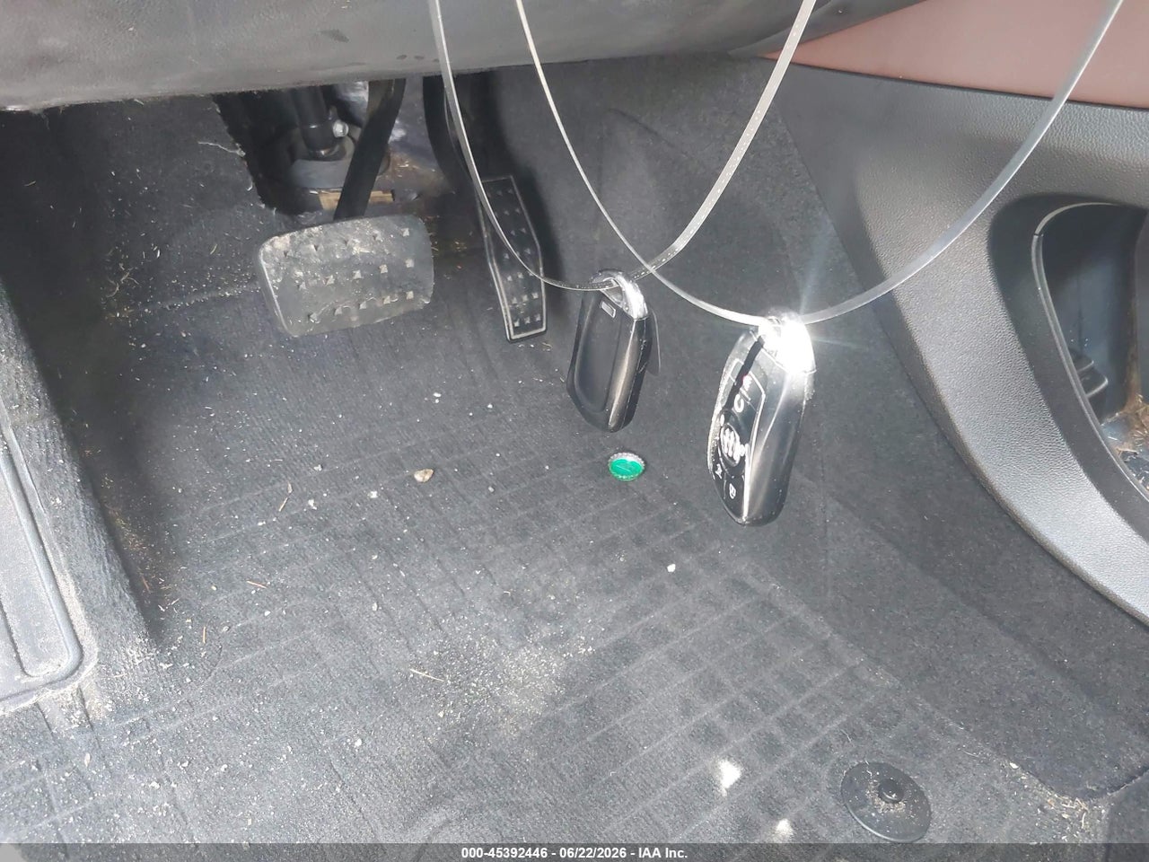 Image 11