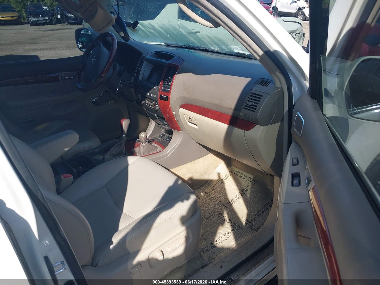 Image 5
