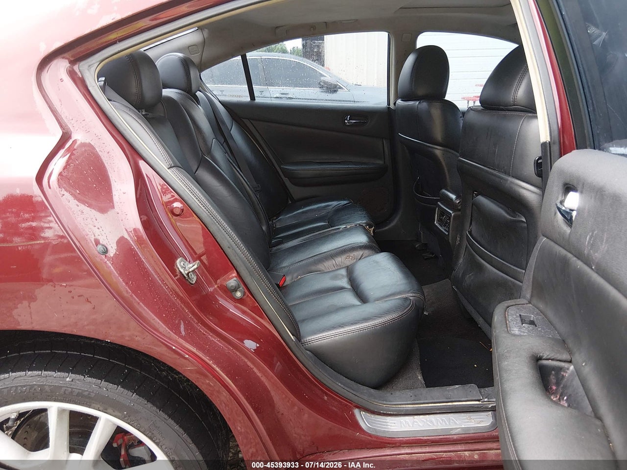 Image 8