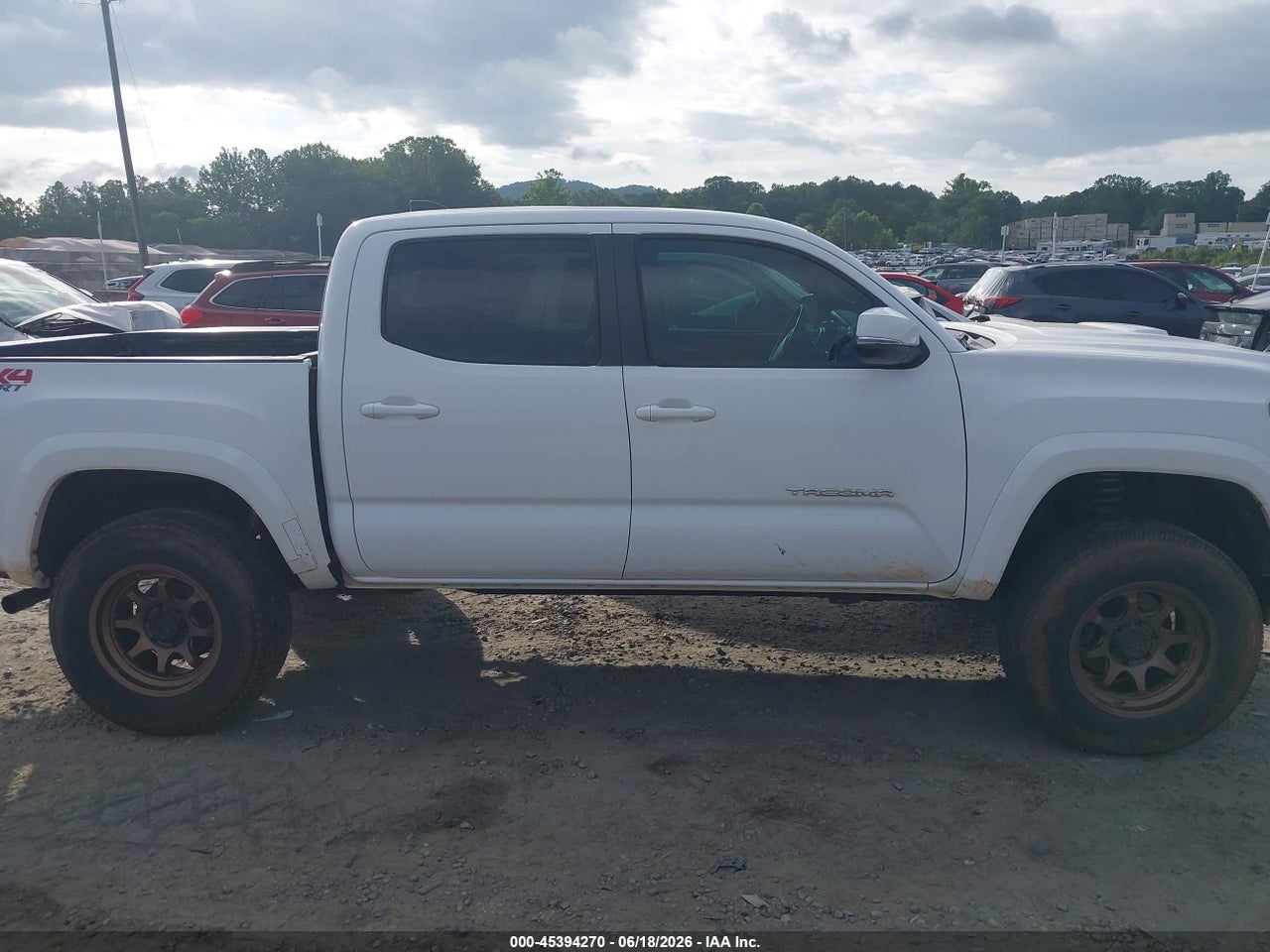 Image 13