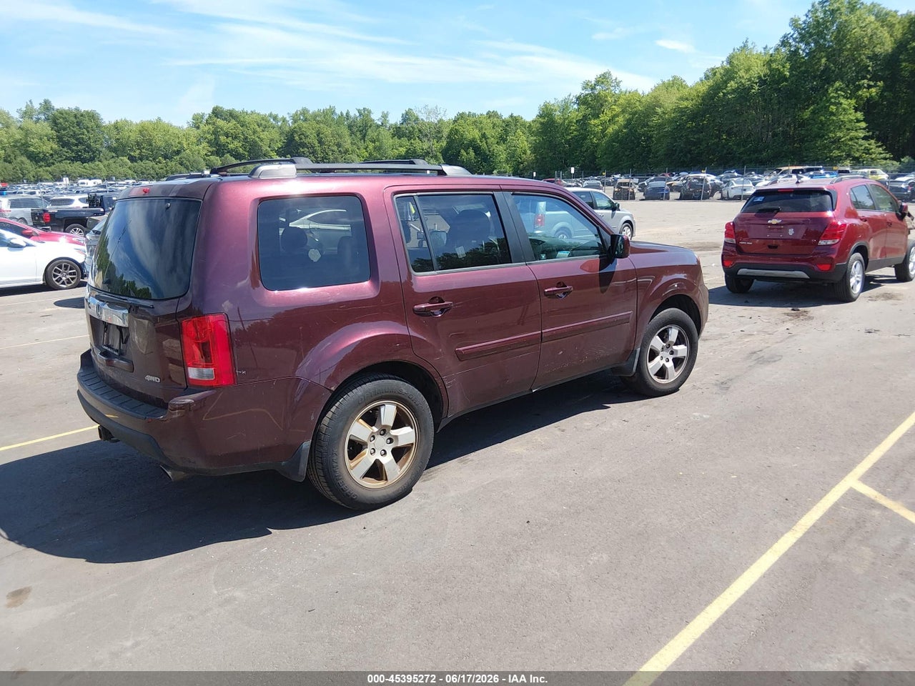 Image 4