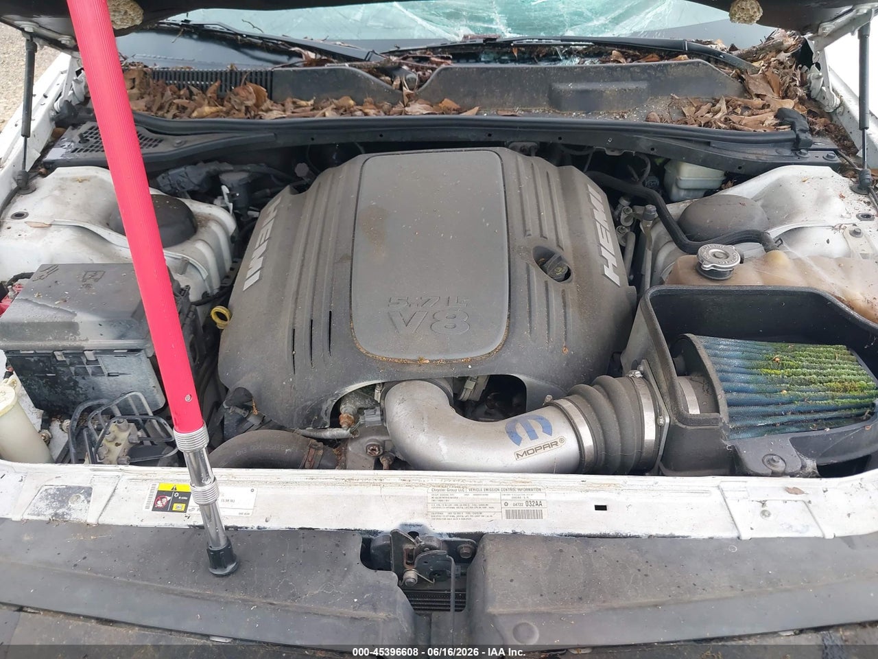 Image 10
