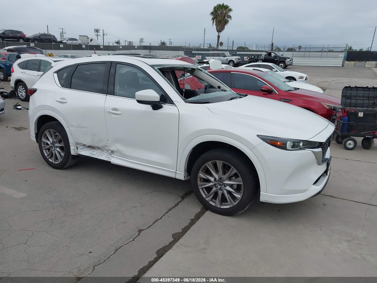 JM3KFBEM6R0****** · 2024 MAZDA CX-5 2.5 S PREMIUM PLUS