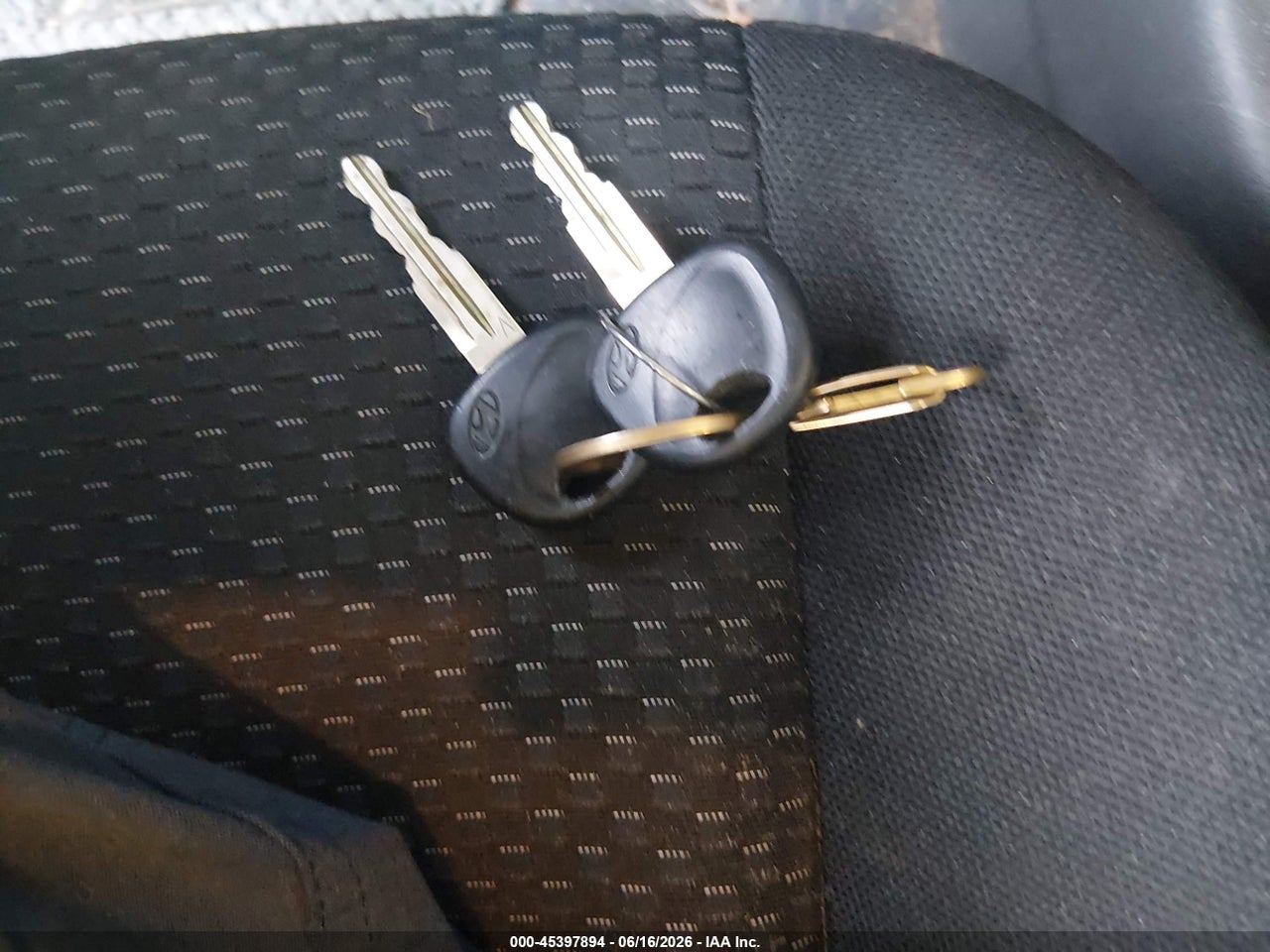Image 11