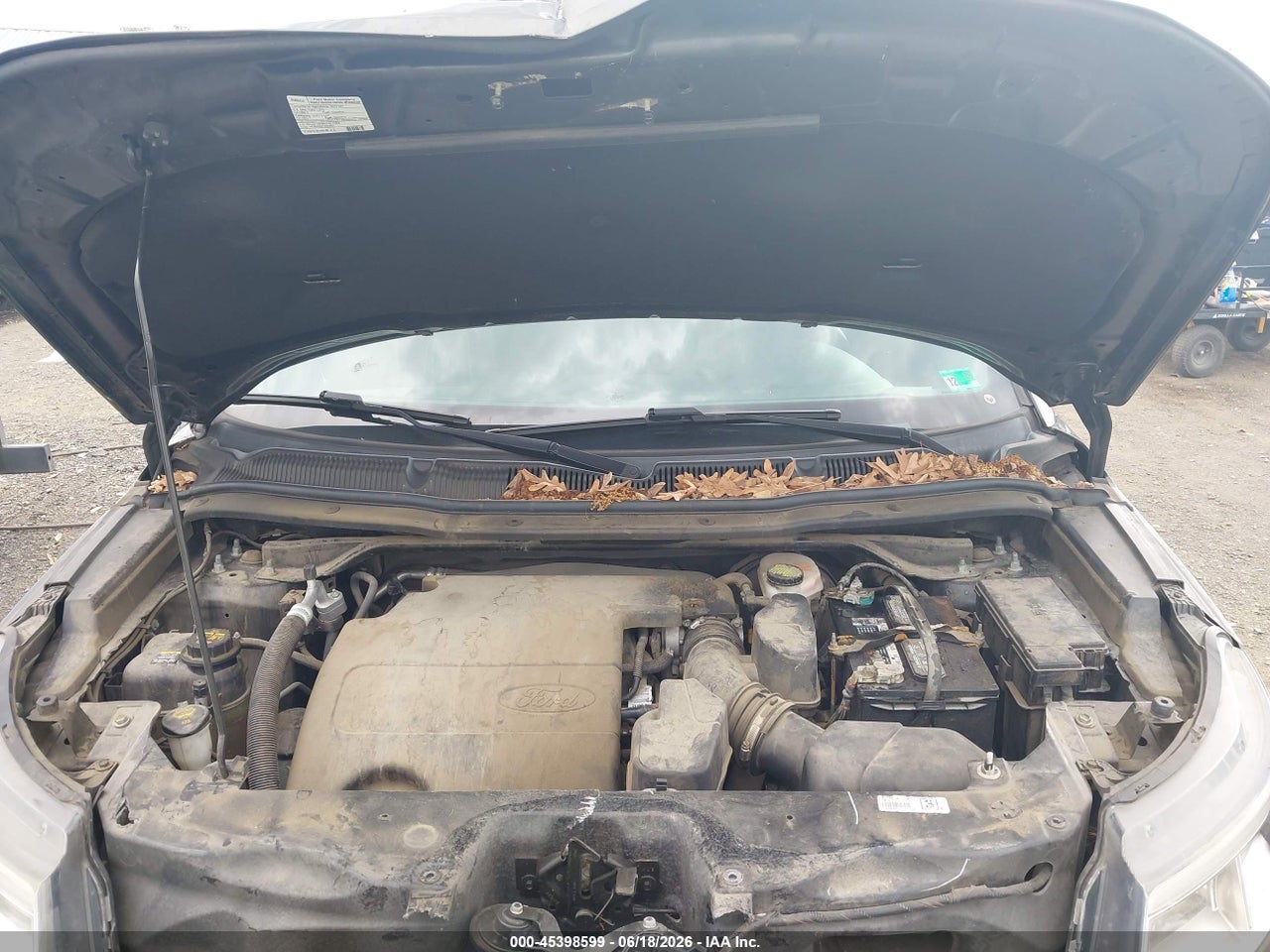 Image 10