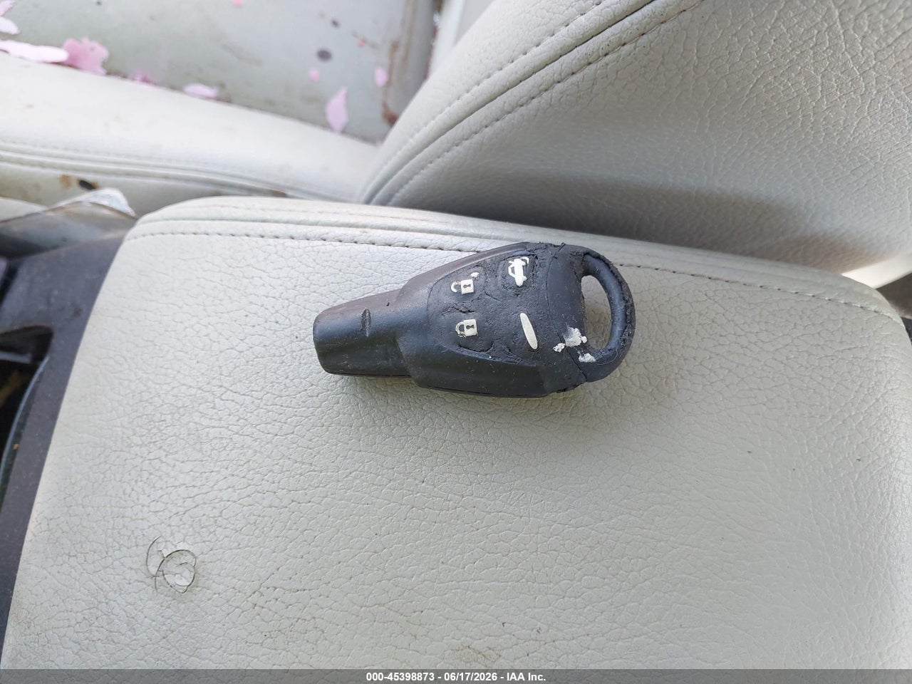 Image 11