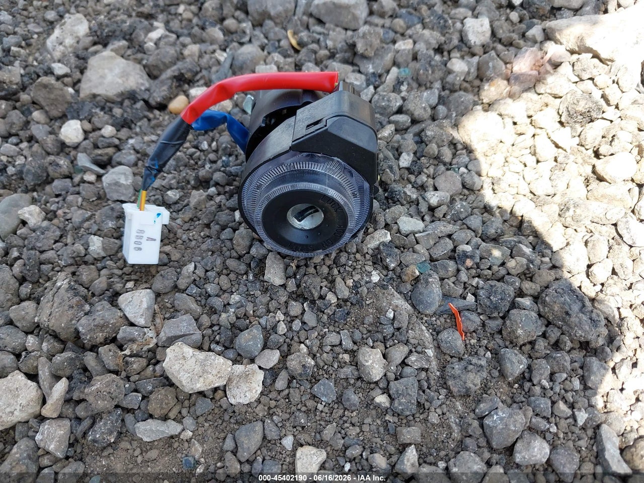 Image 12