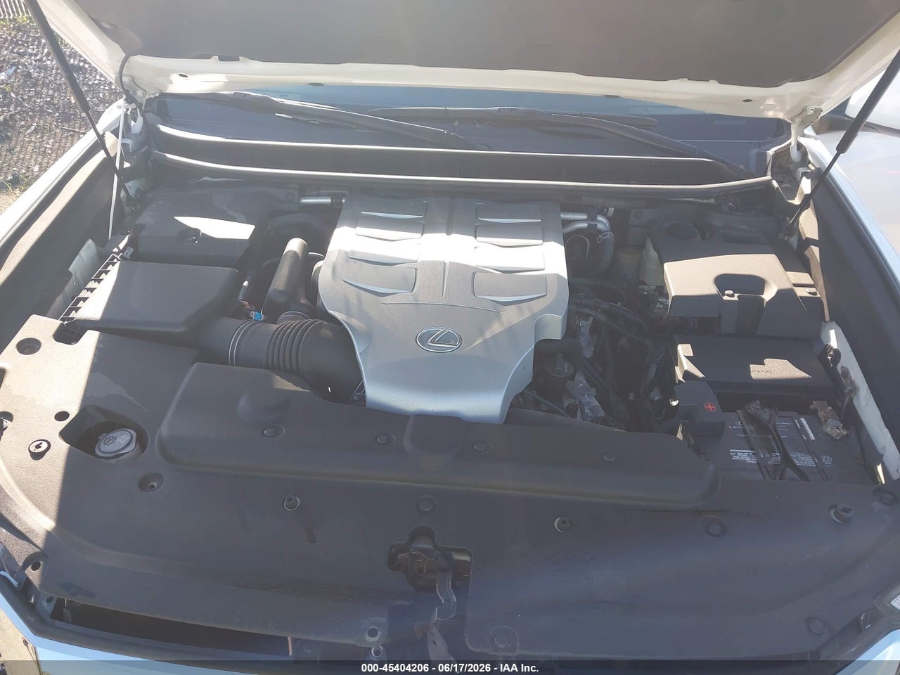Image 10
