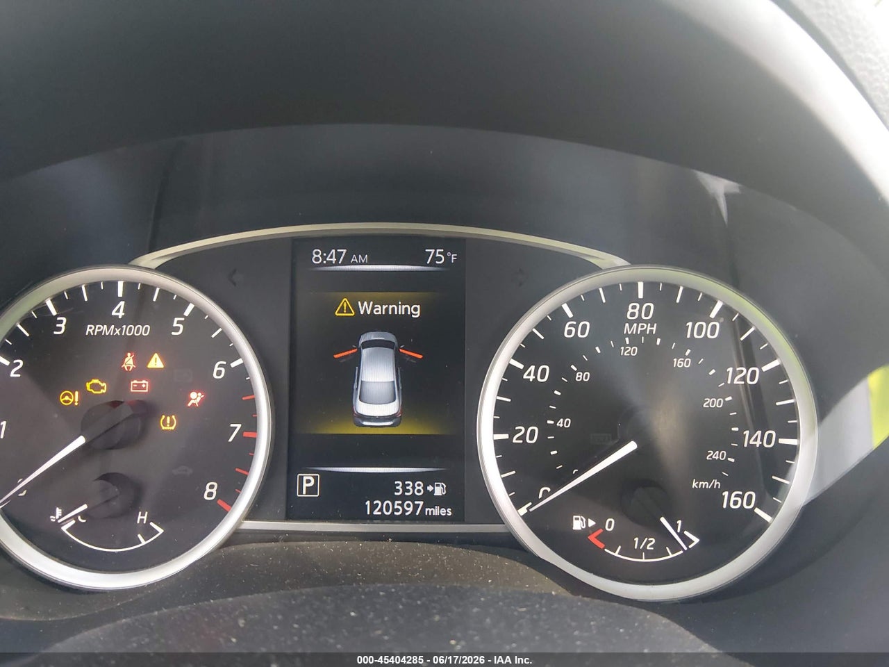 Image 7