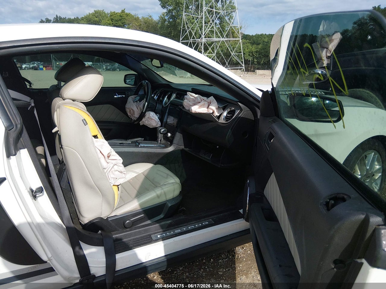 Image 5