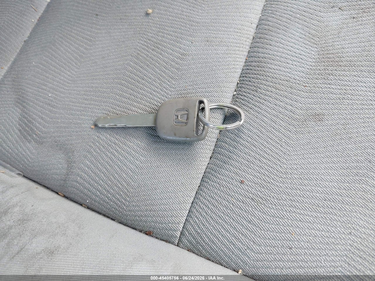 Image 11