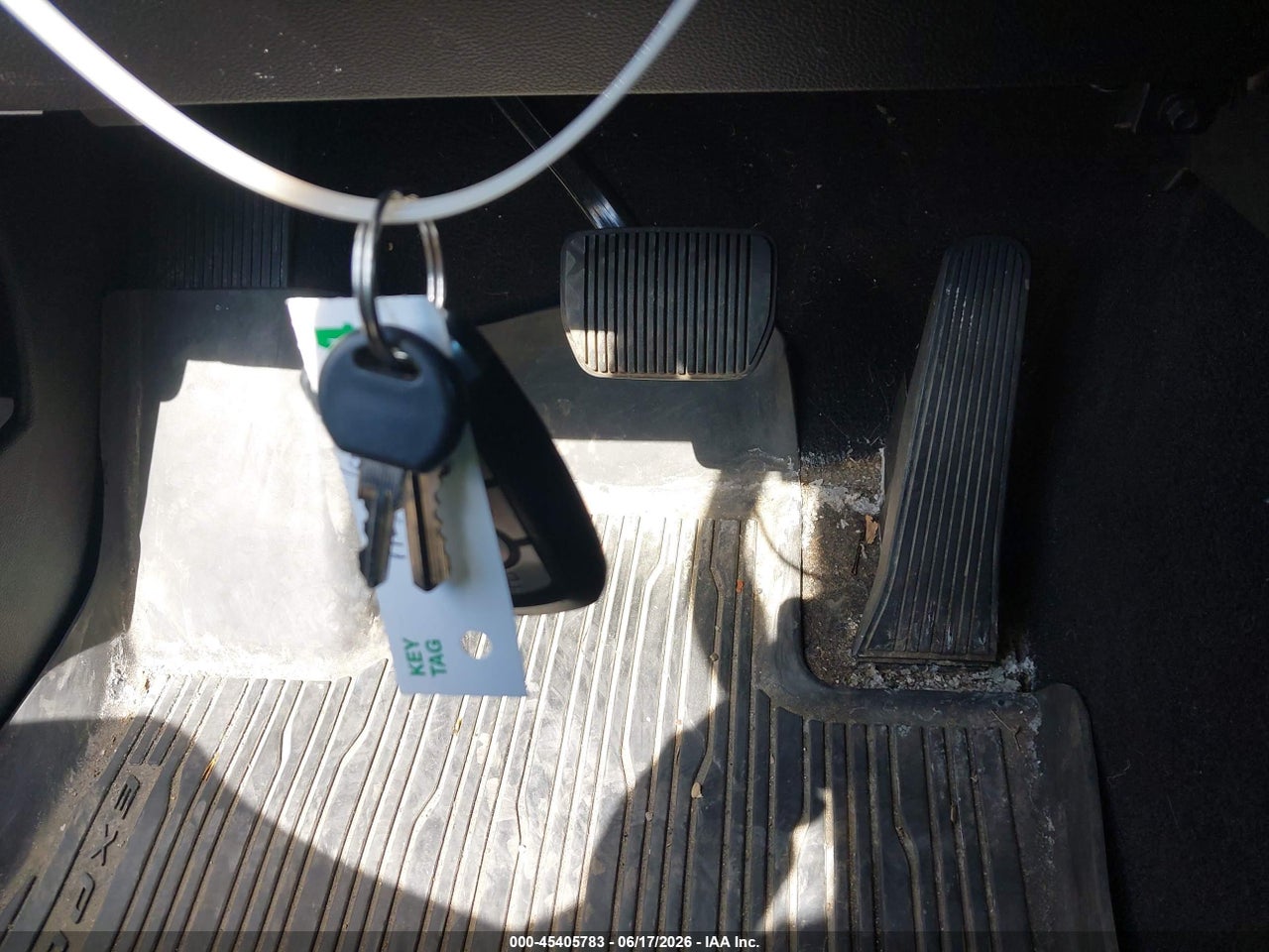 Image 11