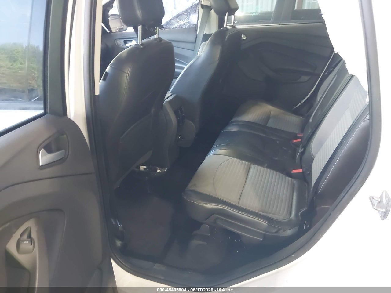 Image 8