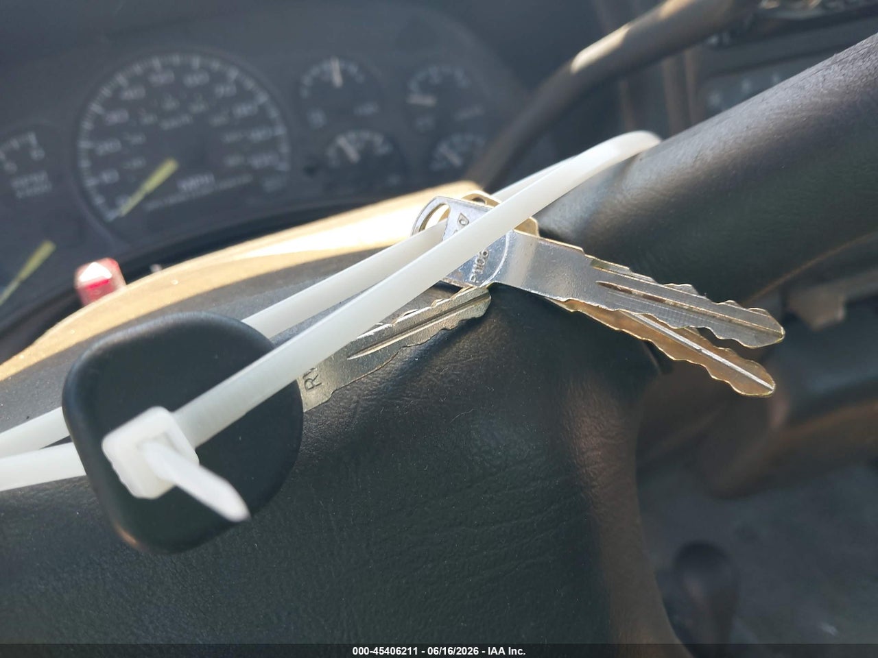 Image 11