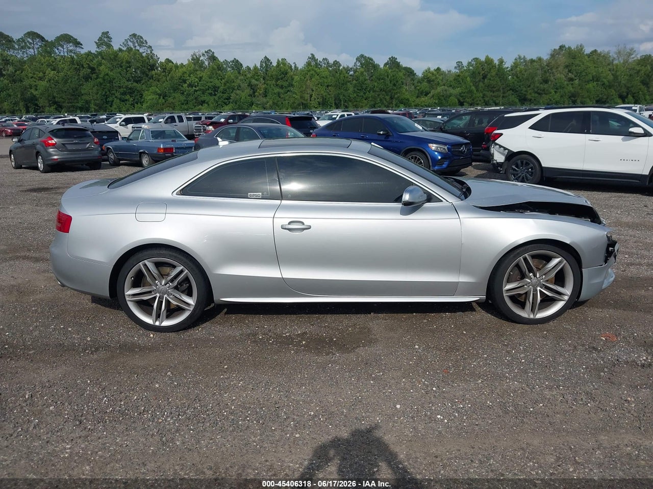 Image 13