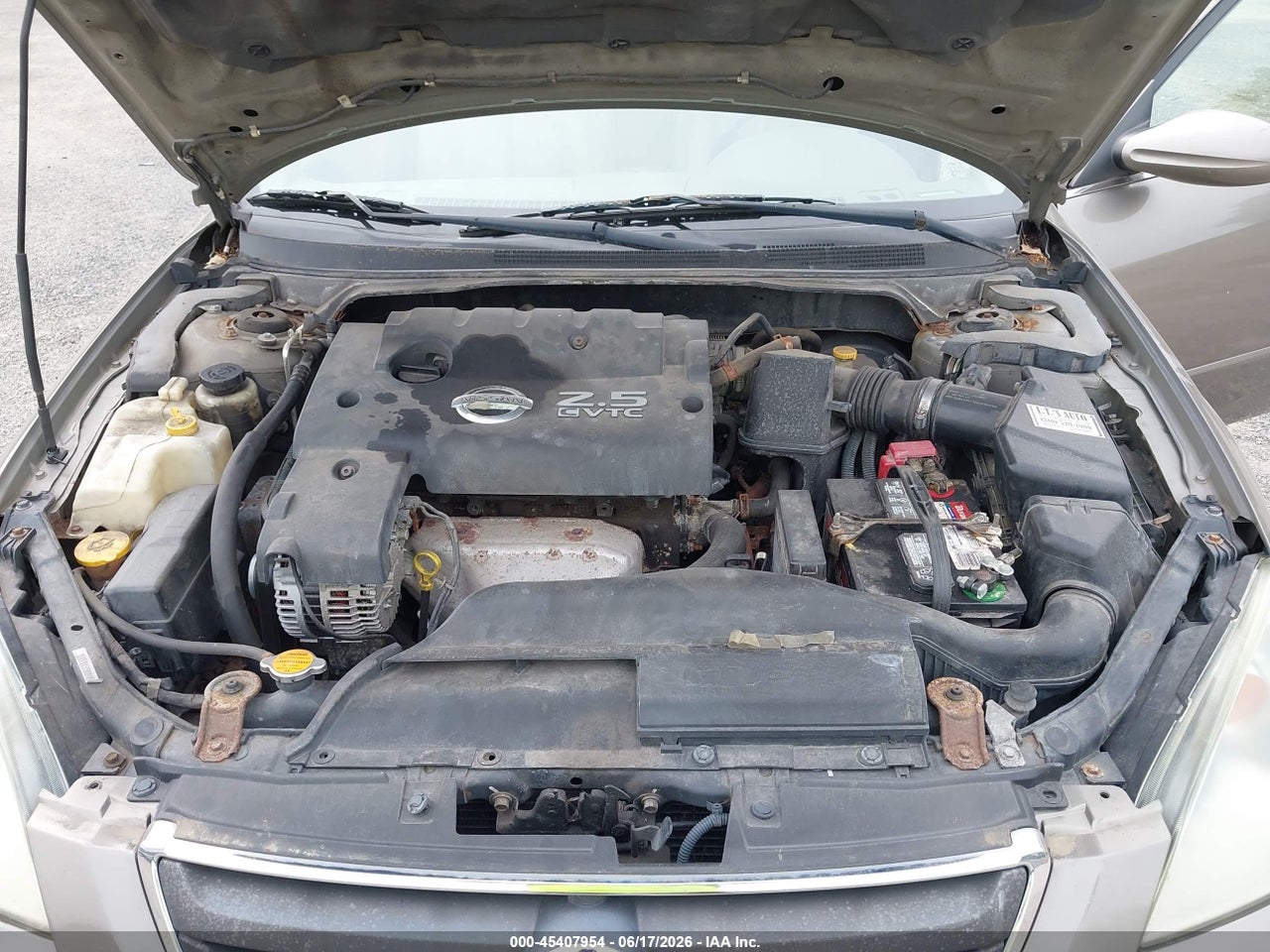 Image 10