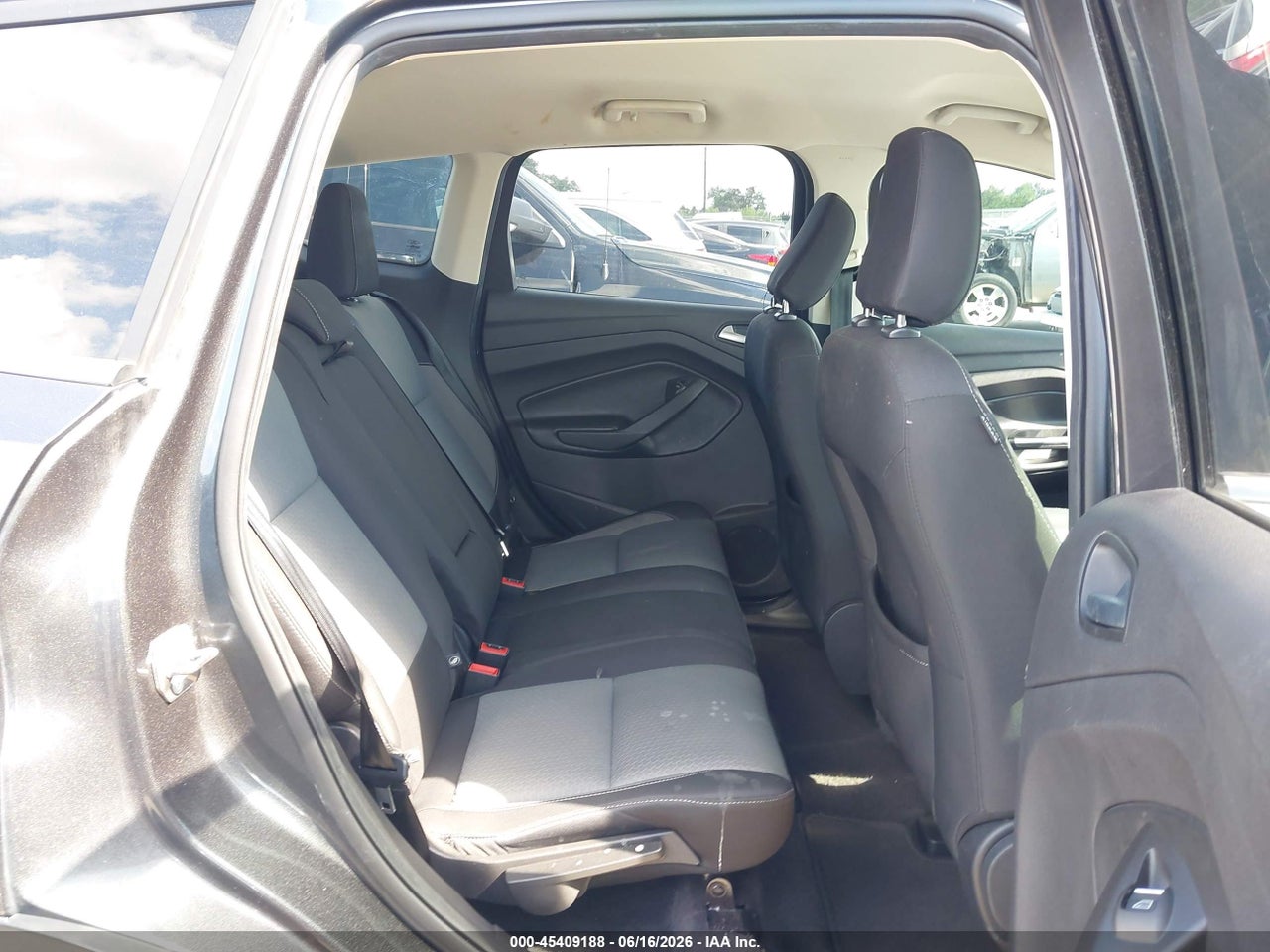 Image 8