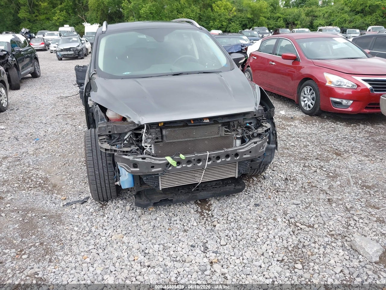 Image 6