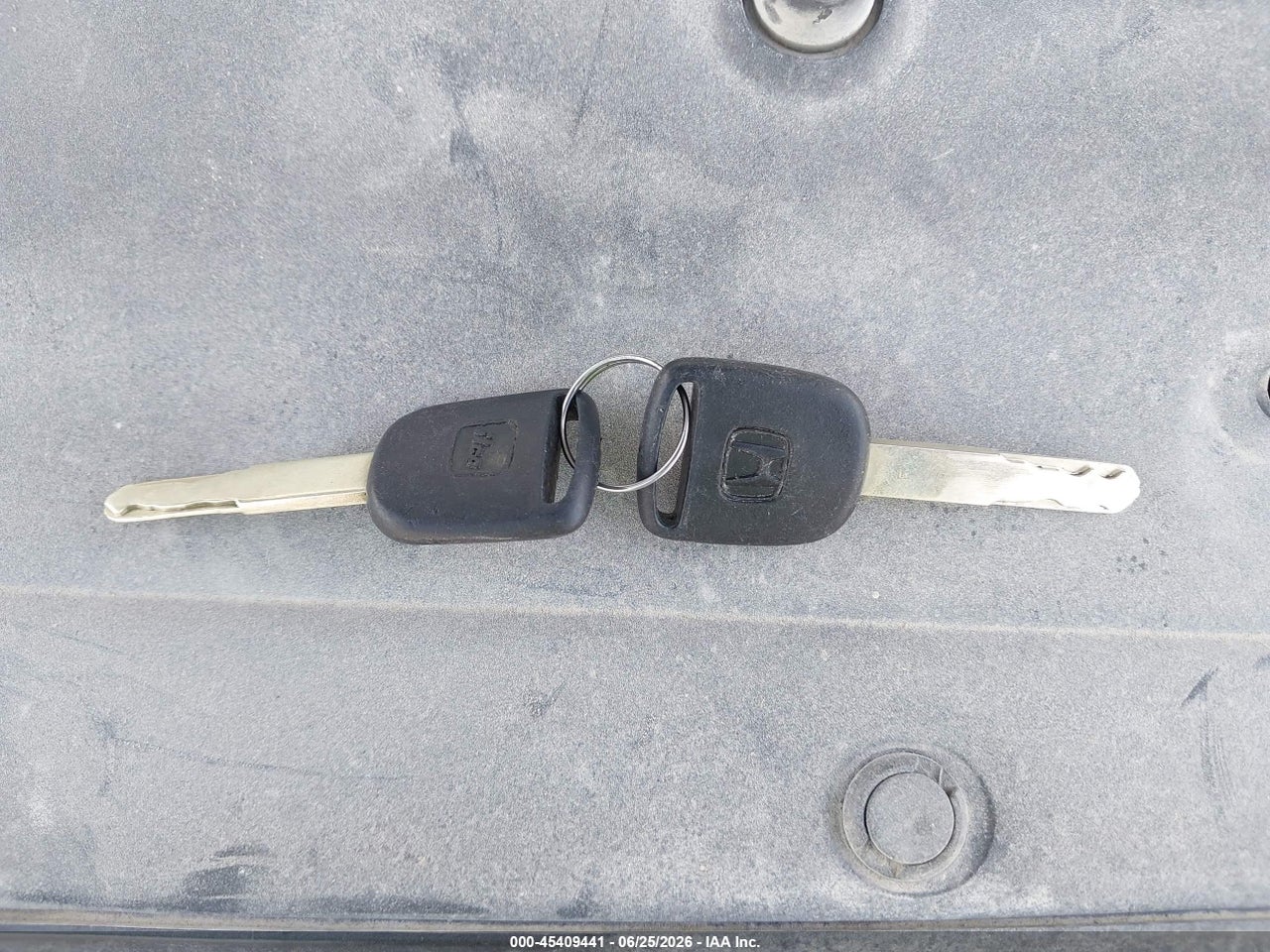 Image 11