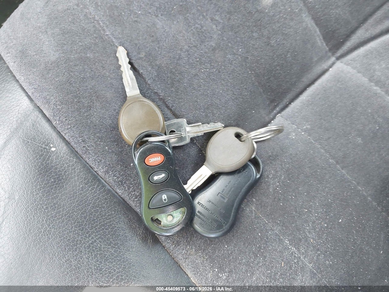 Image 11