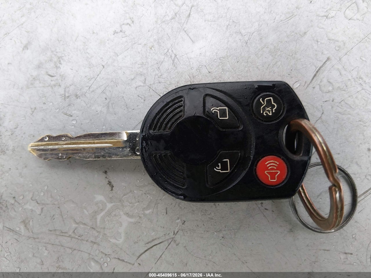 Image 11