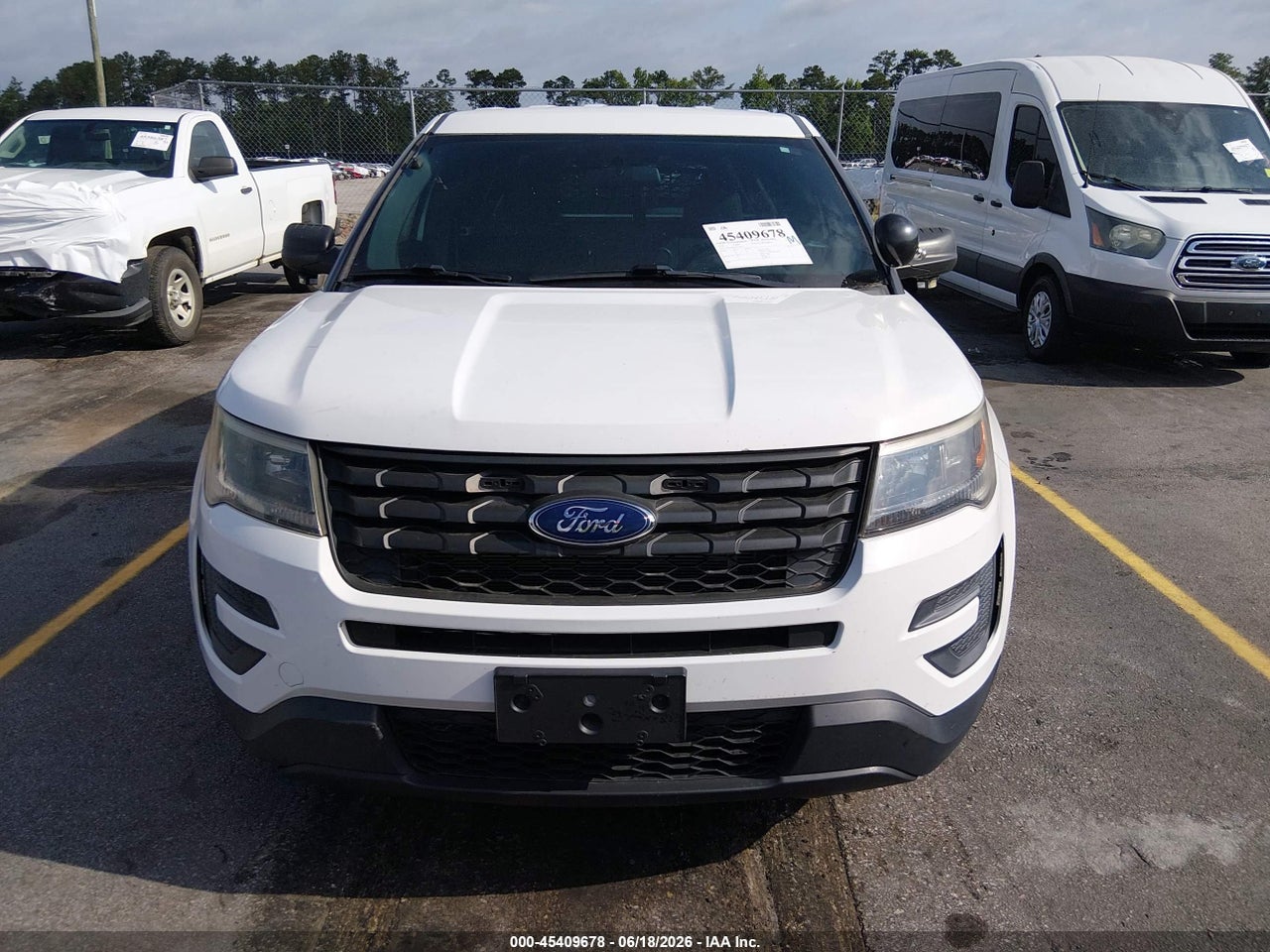Image 13