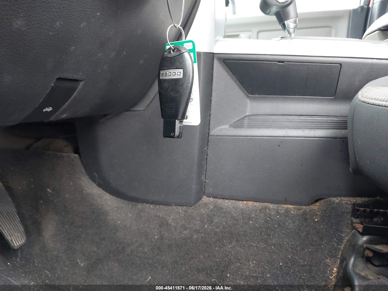 Image 11