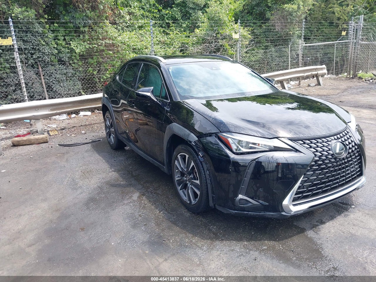 2019 Lexus UX