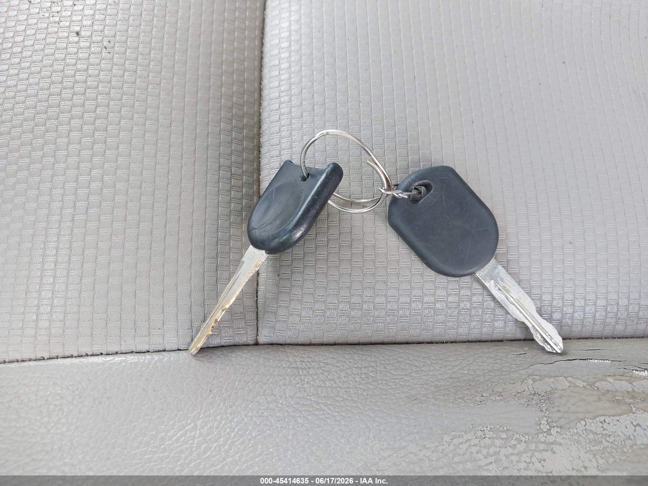 Image 11