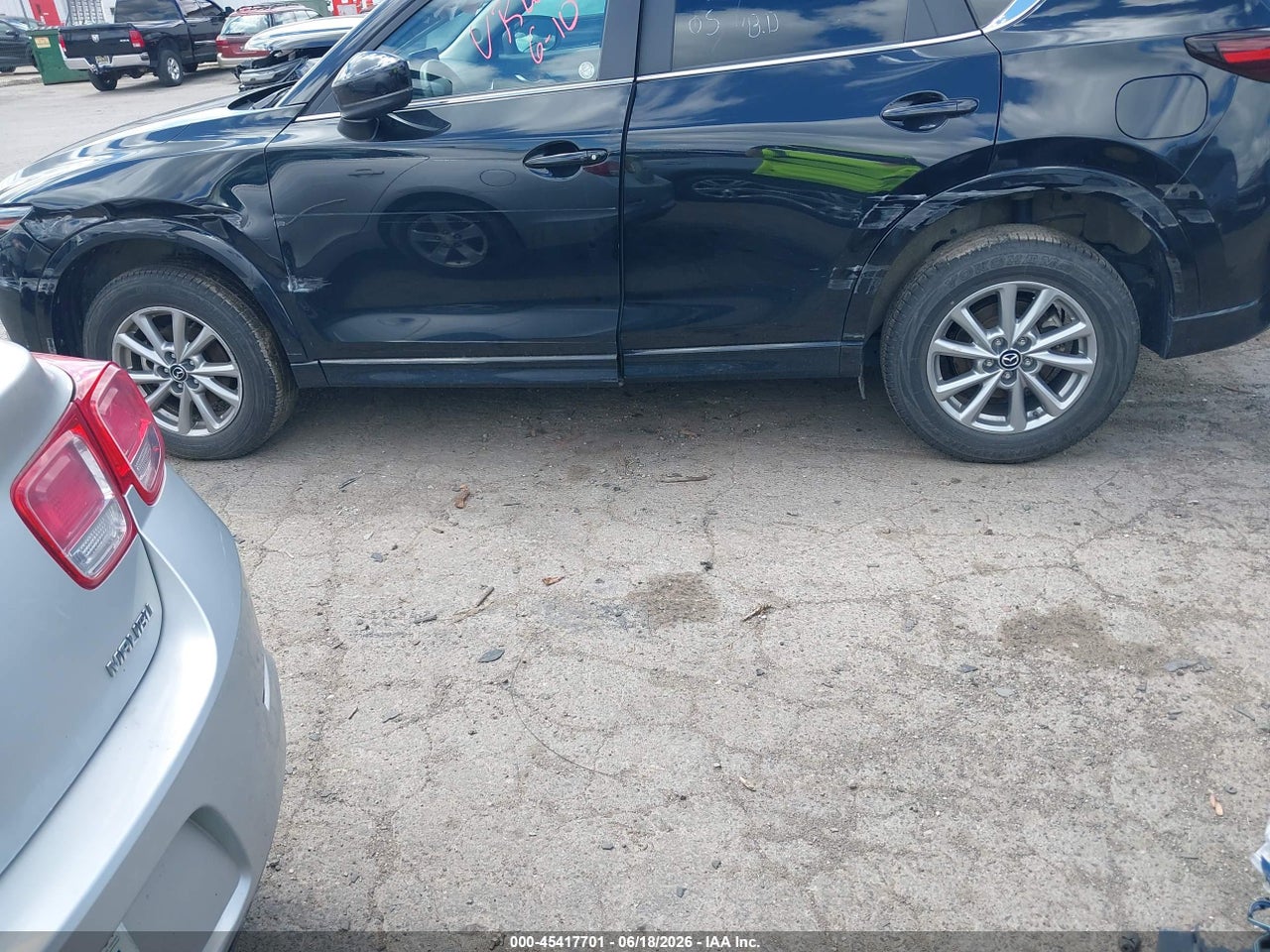 Image 6