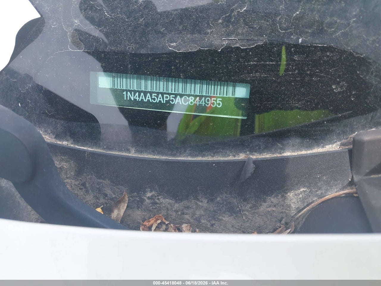 Image 11