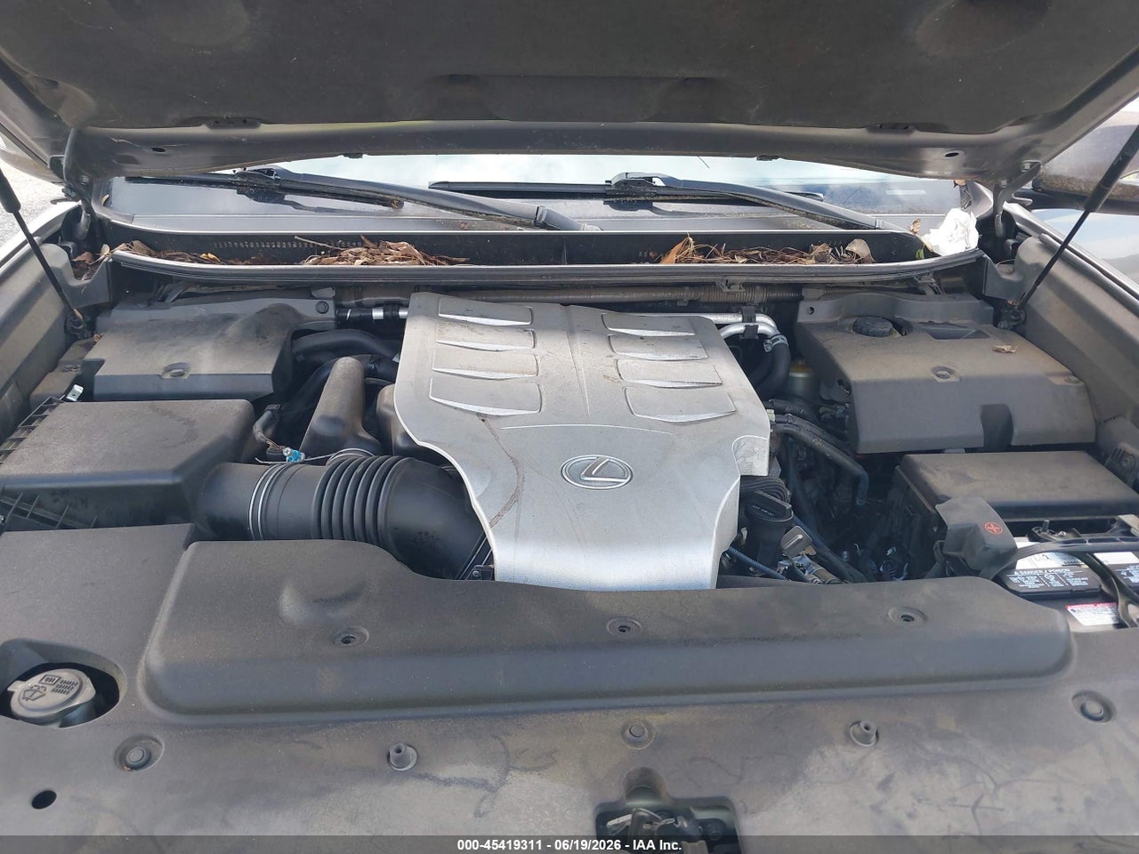 Image 10
