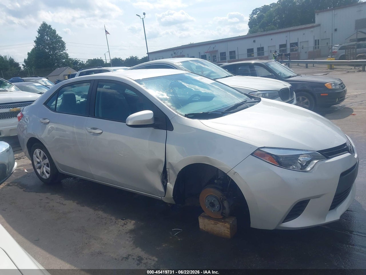 Image 13