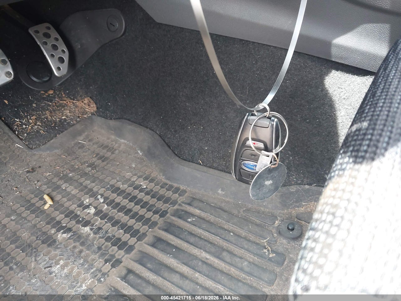 Image 11