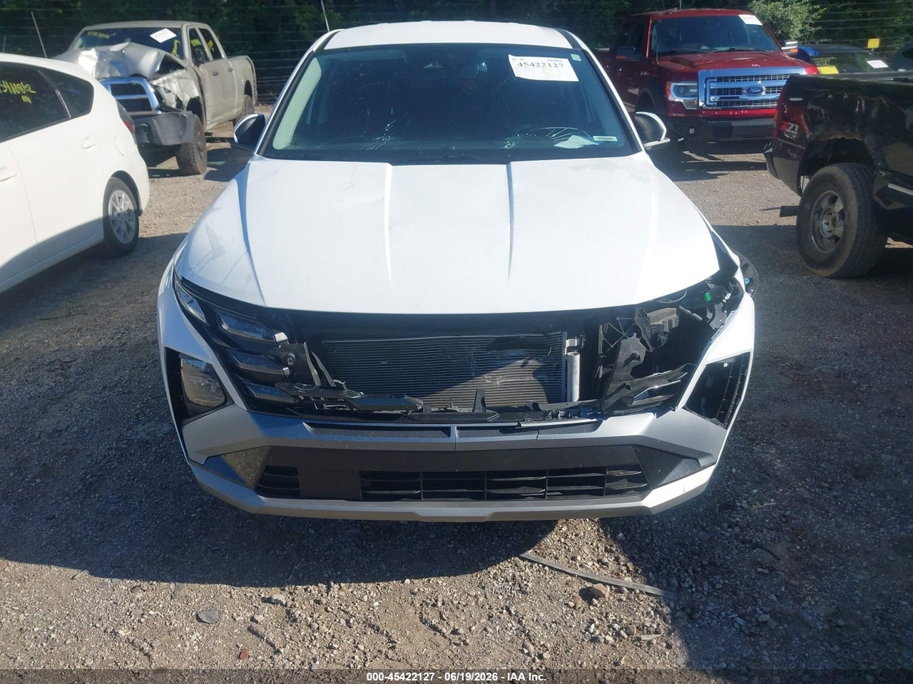 Image 12
