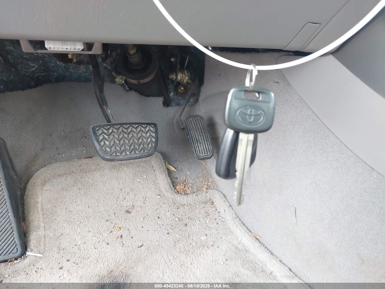 Image 11