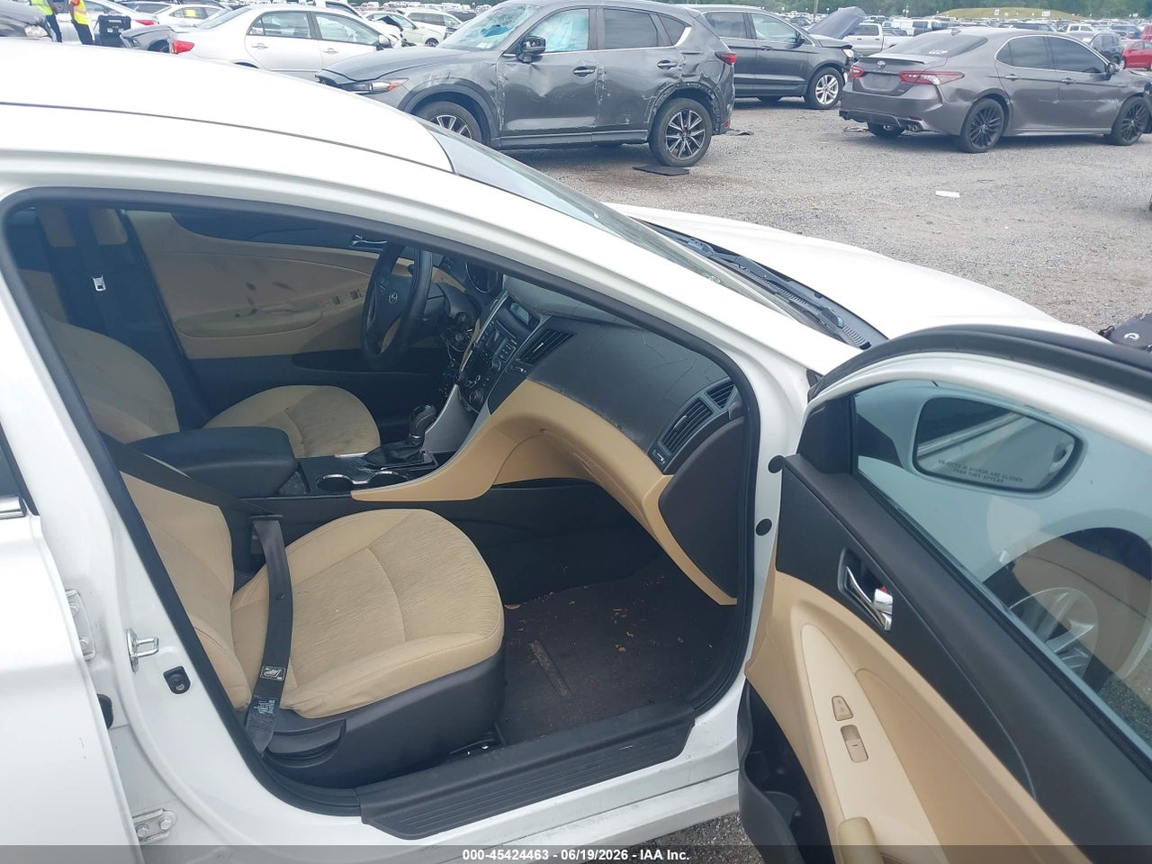 Image 5