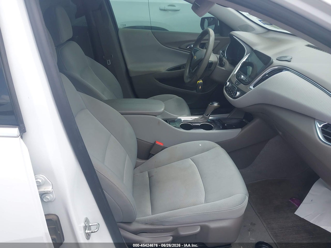 Image 5