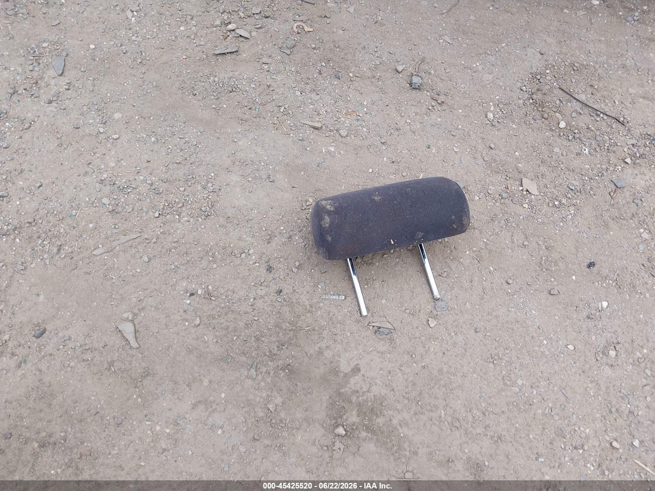 Image 12