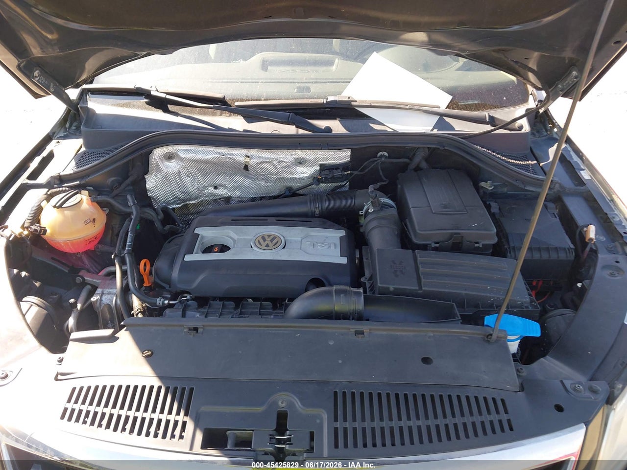 2009 VOLKSWAGEN TIGUAN S/SE/SEL thumbnail 11