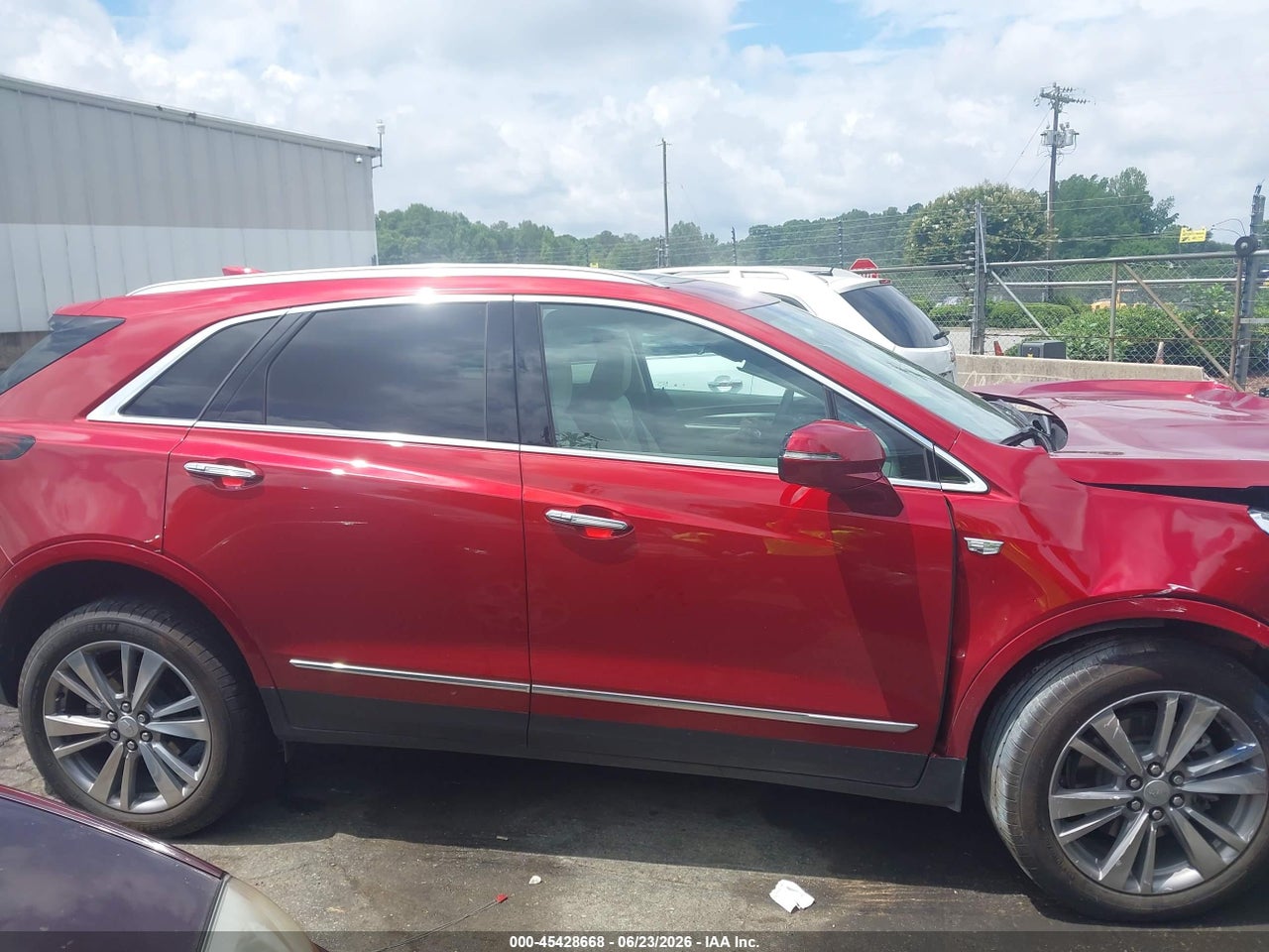 Image 12