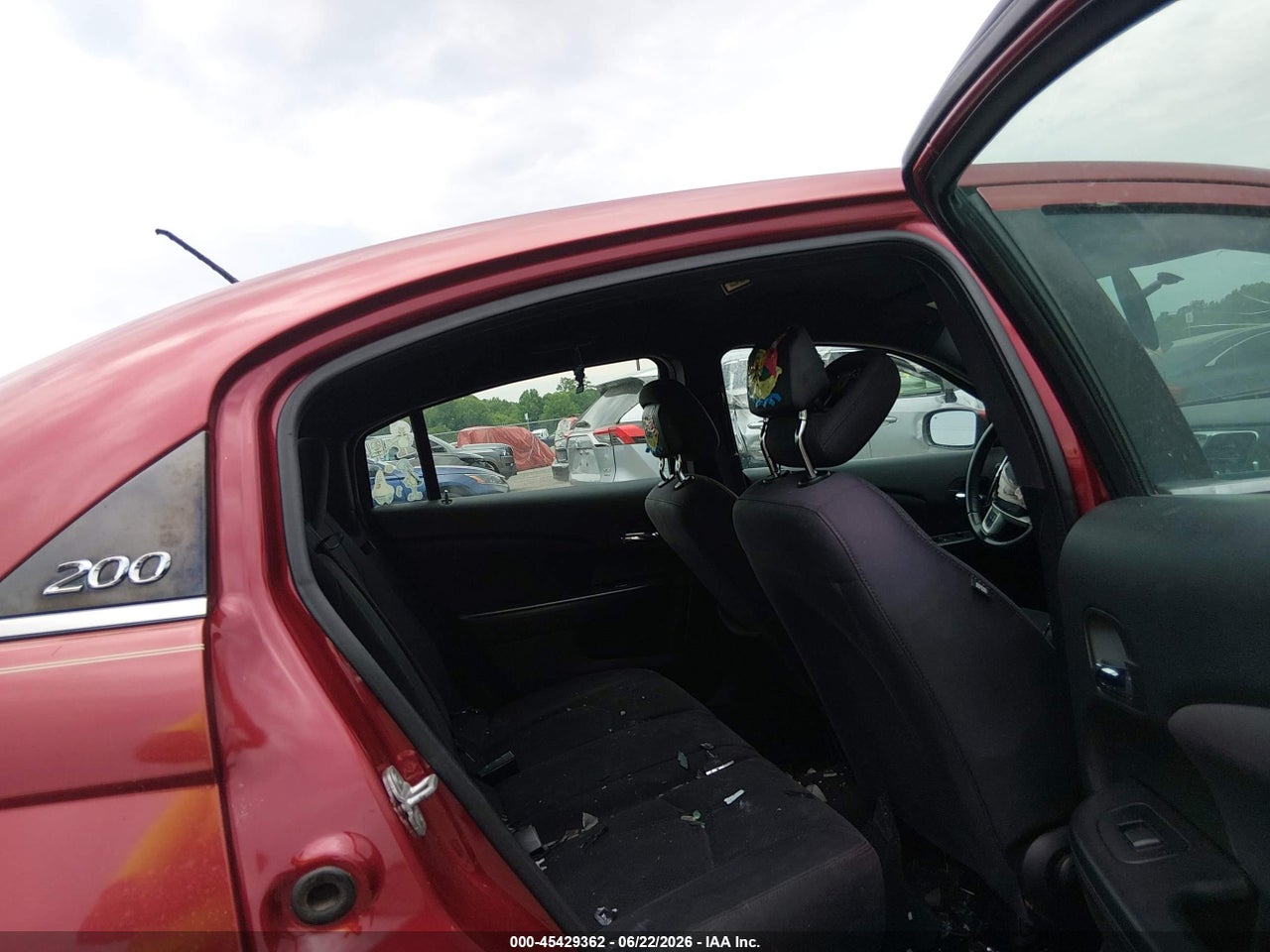 Image 8
