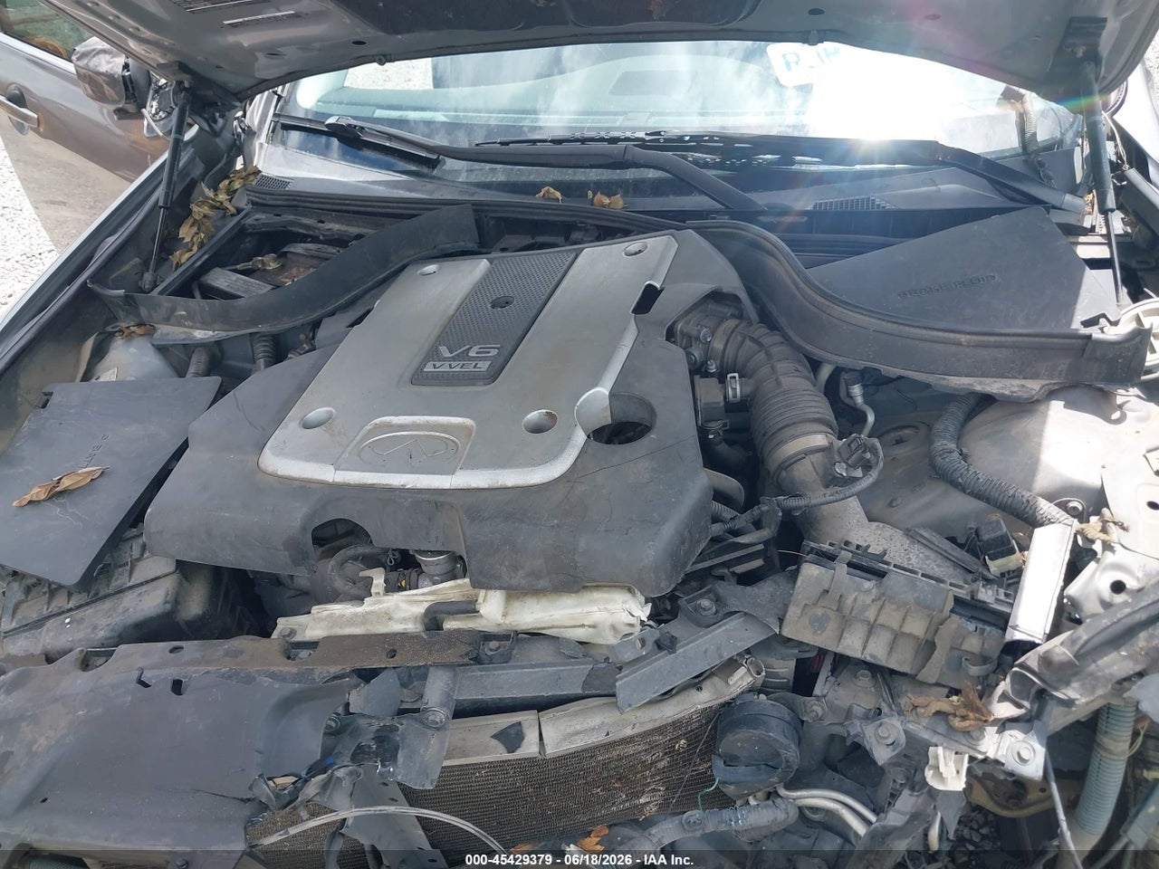 Image 10
