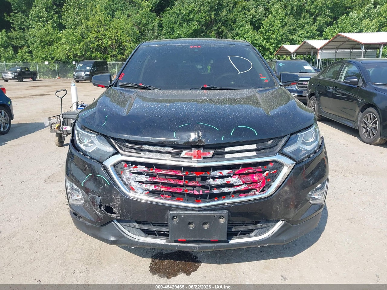 Image 12
