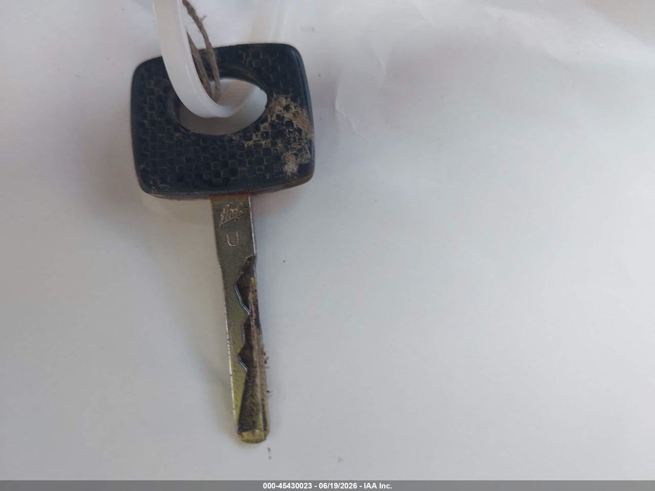 Image 11