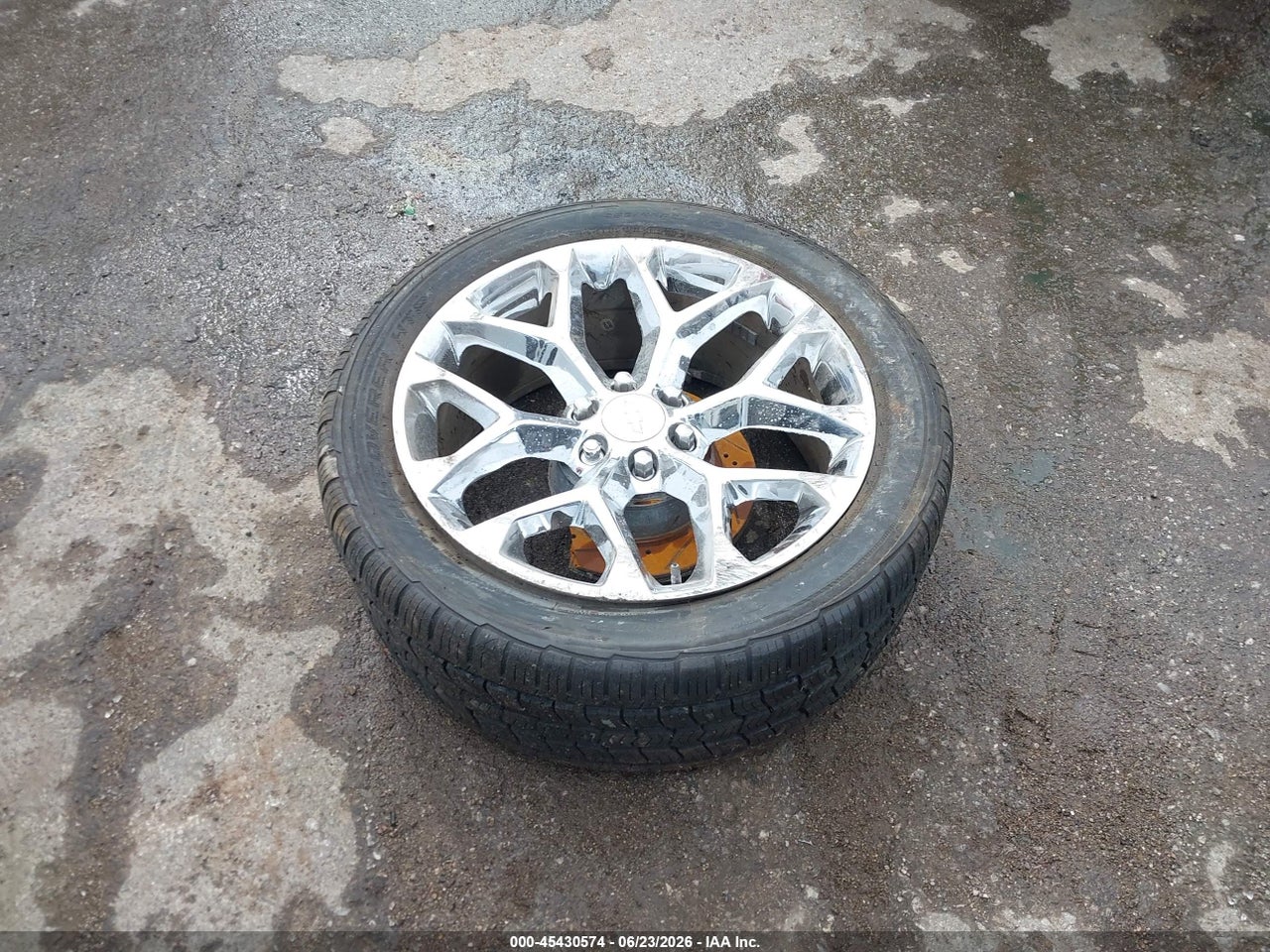 Image 12